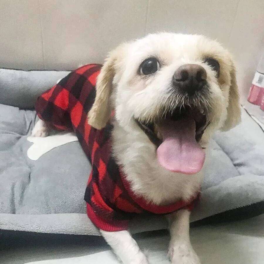 Pet Christmas Pajamas Red Black Buffalo Plaid Jumpsuit Dog Cat Soft Winter Clothes Puppy Doggie Checkered Sweater Apparel M 25T1226