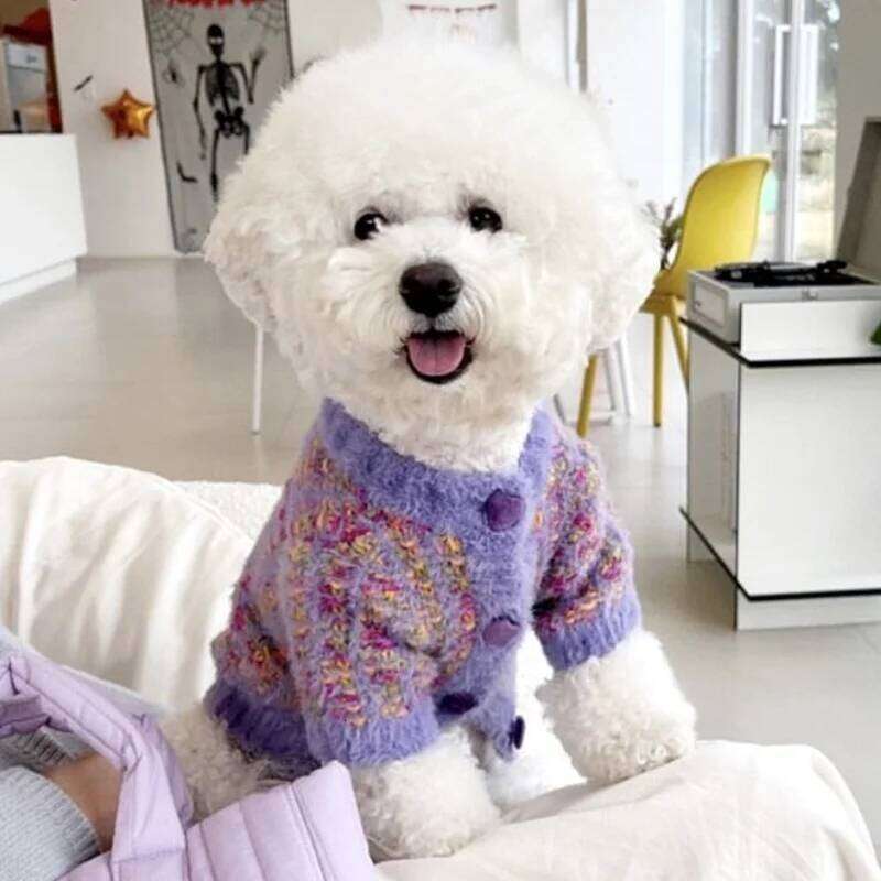 Winter Clothes Fashion Solid Dog Cardigan Warm Soft Puppy Kitten Coat Cute Cat Knitted Sweater Yorkie Pet Costumes 25T1226