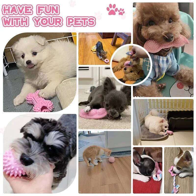Dog Chew Toys Cleaning Teeth Pink Soft Rubber Bone Funny Ball Interactive Donut Treat Set for Small Medium Dogs Pet Gifts 25N1226