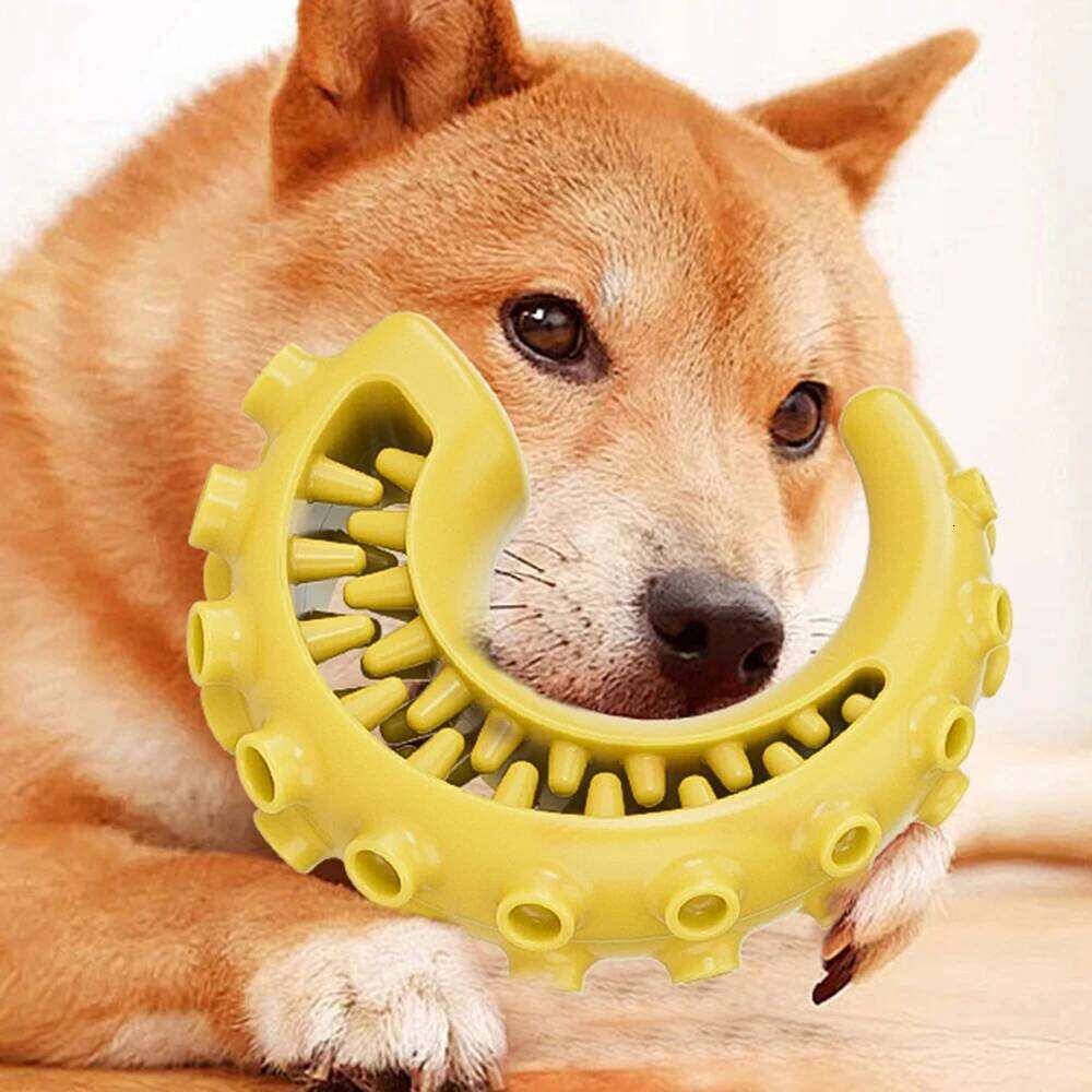 Tpr For Small Medium Dogs Bite Resistant Chew Dog Teeth Cleaning Toys Pet Supplies 25N1226