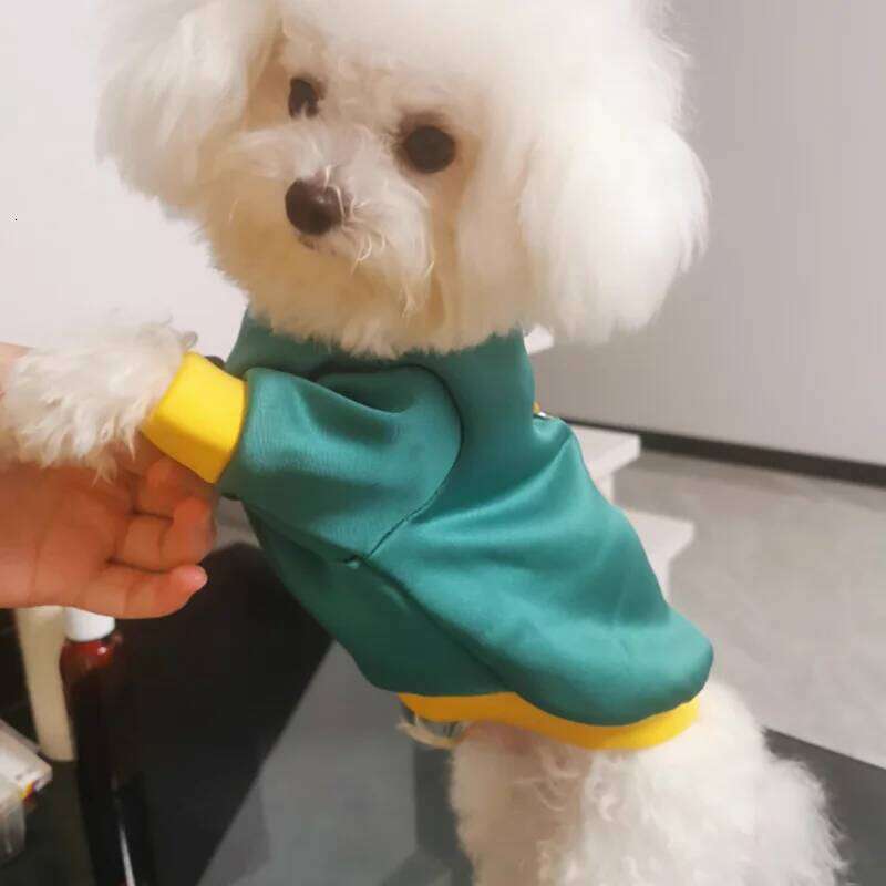 Japanese-style Three Little Bears Print Teddy Sweatshirt Yorkshire Two-legged Pullover Warm Dog Clothes 25T1226