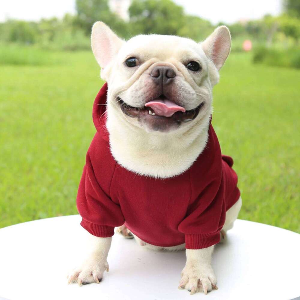 Fashion Dog Clothing Autumn And Winter Small Clothes Thickening Warm Solid Color Two-Feet Hooded Wweater Casual Pet Products 25T1226