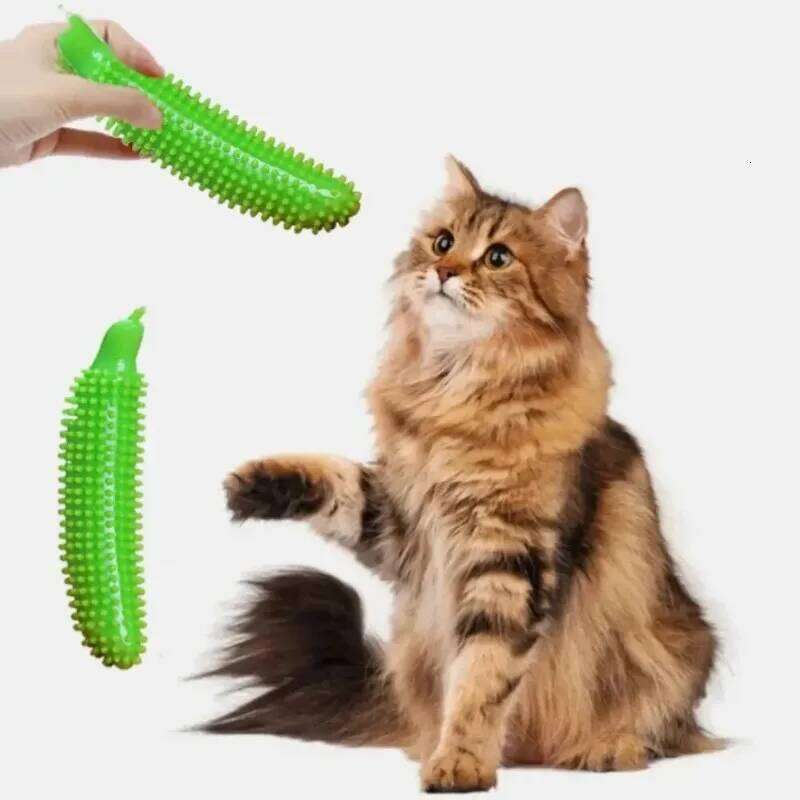 Grinding Cucumber Shape Bite TPE Dog Chew Toy Wear Resistant Pet Molar Stick Teeth Cleaning 25N1226
