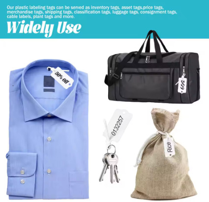 50/100Pcs Reusable Plastic Tags Hang Tag Waterproof Label Seal Cable Tie Color Classification Mark Sign Shoes Clothes Hang Label