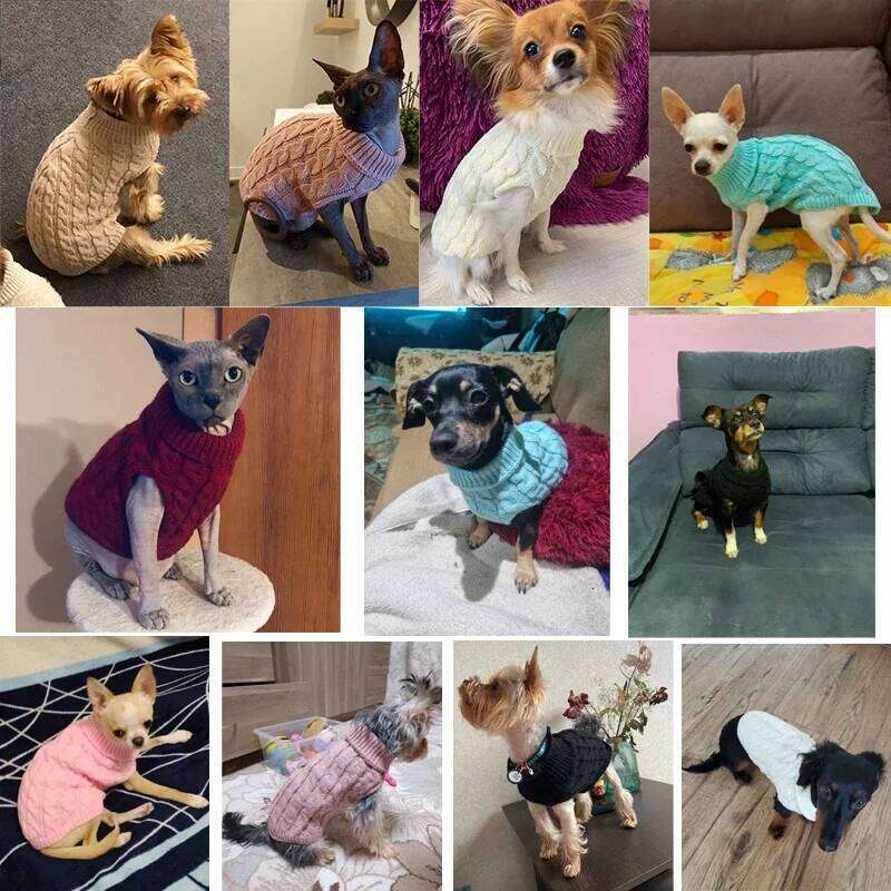 Sweaters for Small Dogs Winter Warm Dog Clothes Turtleneck Knitted Pet Clothing Puppy Cat Sweater Vest Chihuahua Yorkie Coat 25T1226