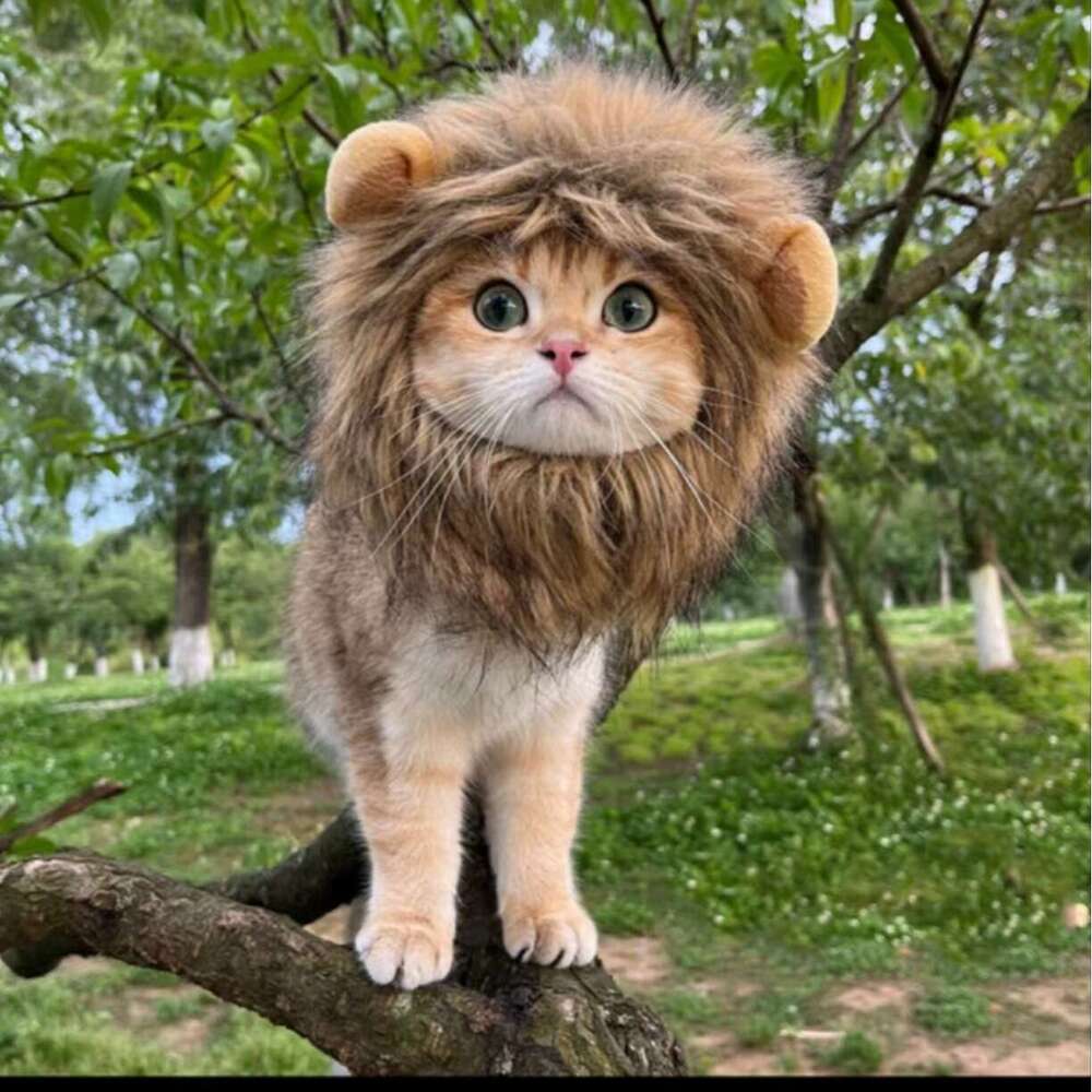 Halloween Lion Costume Ghost Festival pet supplies Pet Hat New Adjustable Dog Supplies 2026 Cat Clothes Autumn Winter
