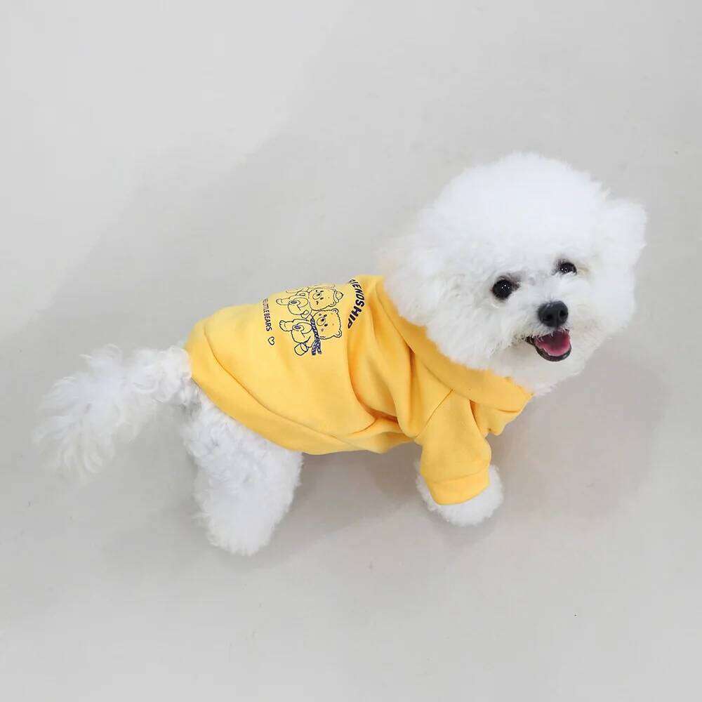 Milk silk velvet hooded cover autumn winter hoodie with teddy bear pattern traction ring for outdoor cats and dogs, 25T1226