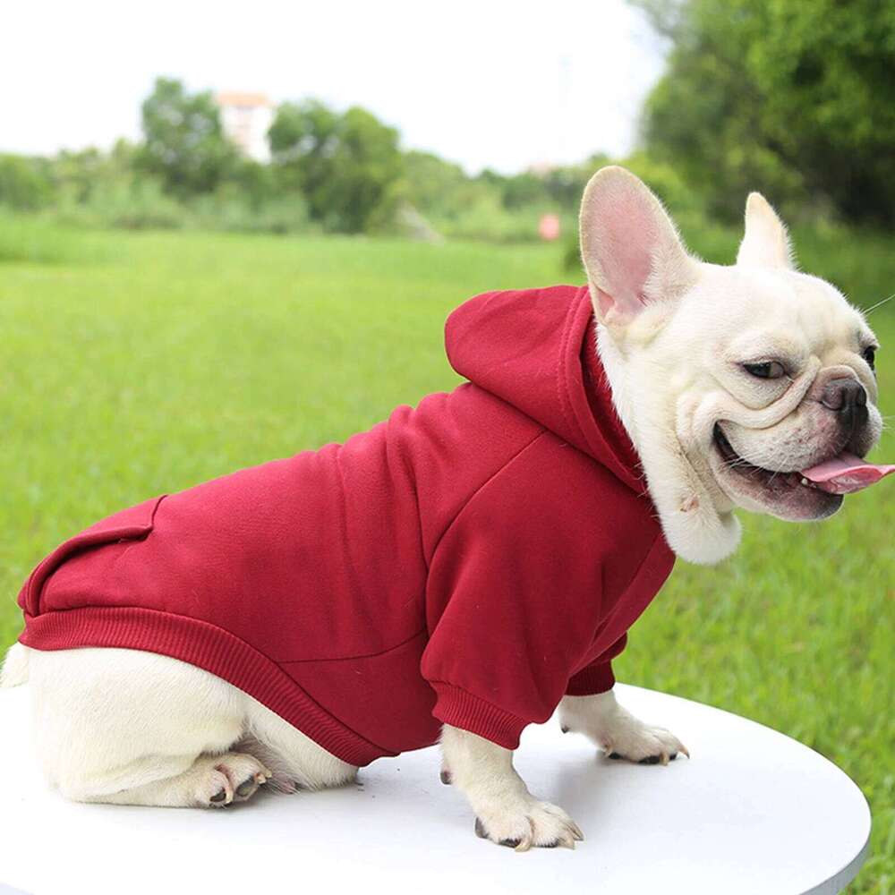 Fashion Dog Clothing Autumn And Winter Small Clothes Thickening Warm Solid Color Two-Feet Hooded Wweater Casual Pet Products 25T1226