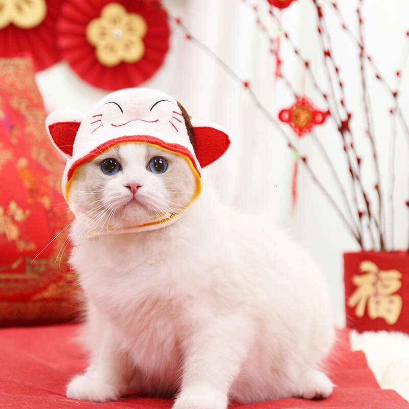 New 2026 Year New pet supplies Pet Hat Headgear Cute Cat Teddy Bichon Costume Accessories Transform Dog Headwear Supplies