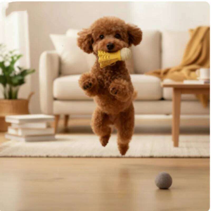 Badminton Shape Bite-Resistant Dog Interactive Chew Toy Relieves Boredom Teeth Grinding Stick for Dogs Self-Fun 25N1226
