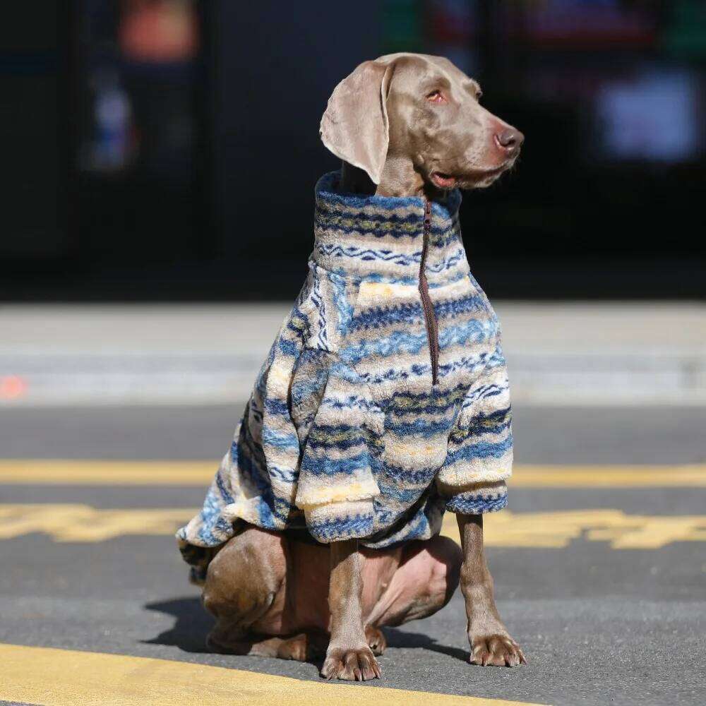 Dog Winter Sweater for Larg Dogs, 2 Legs Warm Fleece Puppy Coat High Collar Jumpsuit, Comfortable Outfit Apparel For Big Breeds 25T1226