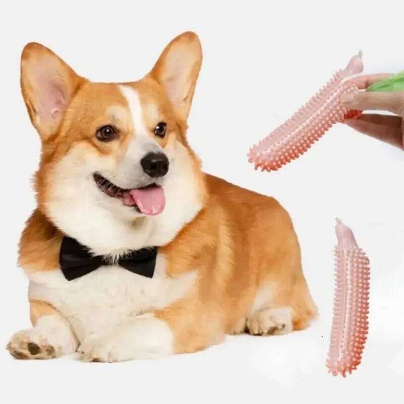 Grinding Cucumber Shape Bite TPE Dog Chew Toy Wear Resistant Pet Molar Stick Teeth Cleaning 25N1226