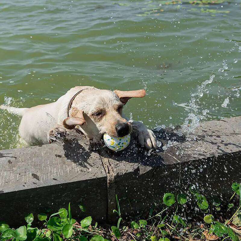 Pet Dog Toy Super Bite Resistant Light Chew ETPU Ball High Elastic Interactive Throwing Flying Toys For Dogs Accessories 25N1226