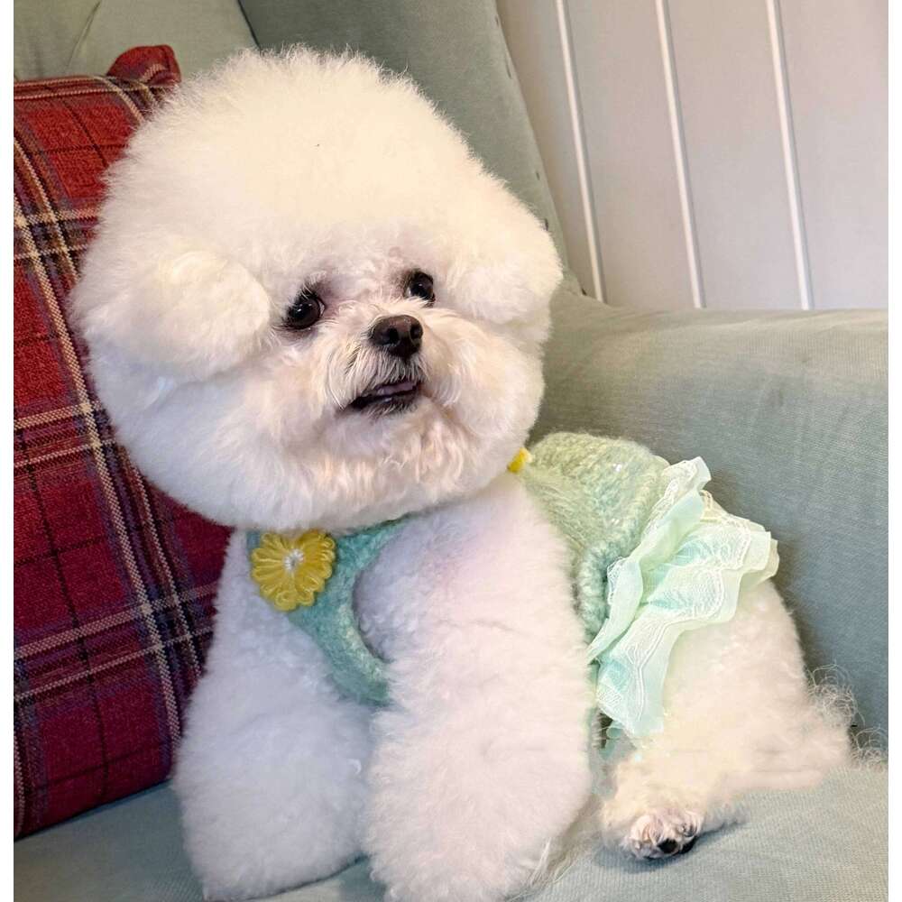 Green Bellflower Design Exquisite Pet Knitted With Pearl Lace - Autumn Dog Dress Sweater 25T1226