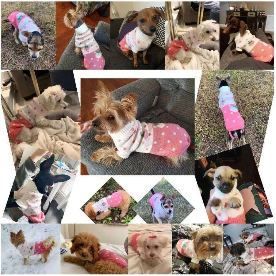 Pet Dog Sweaters Classic Knitwear Turtleneck Winter Warm Puppy Clothing Cute Strawberry and Heart Doggie Sweater Pink Medium 25T1226