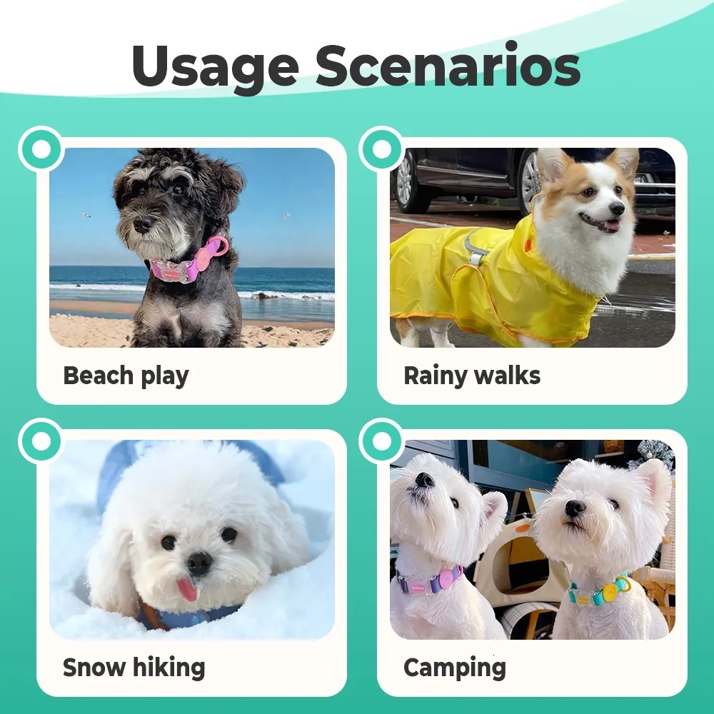 Dog Collar Designer Dhpet Waterproof PVC Rubber Small Dog Adjustable Durable Anti-Odor Pet Leash Set Multi-Colors Soft dog leash Basic Collar Harness