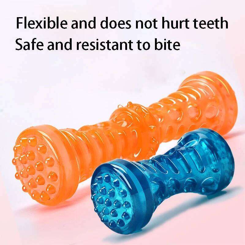 Bite Resistant Pet Toothbrush Sturdy Interactive Game Bone Rubber Puppy Chew Toy Dog 25N1226