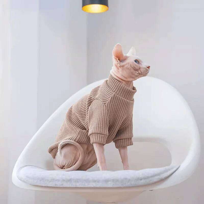 Autumn winter casual simple solid color pullover sweater for small and medium-sized dogs warm cat two-legged pet dog clo 25T1226