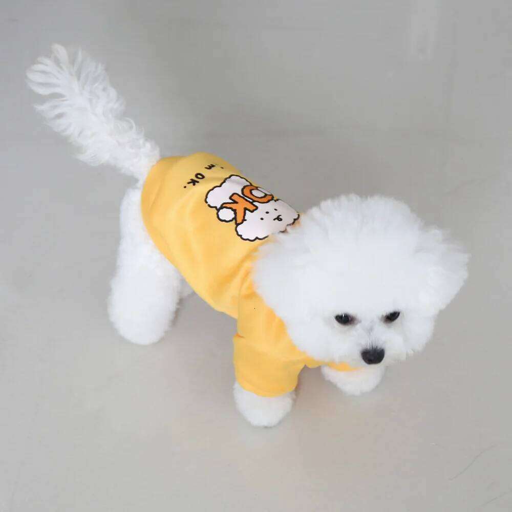 Cat clothes for autumn winter, made of milk silk flannel, with a cute dog print hoodie and drawstring buckle 25T1226