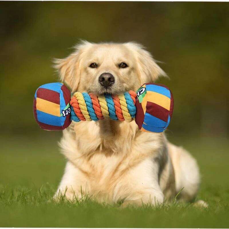 Rainbow Twist Candy Dog Chew Toy with Squeaker for Teeth Grinding Interactive Play Bite Resistant Pet Supplies 25N1226