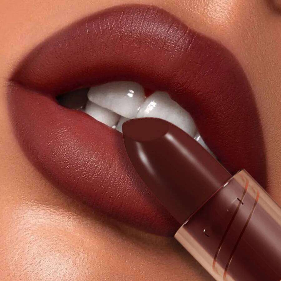1PC Professional Lipstick Waterproof Lips Makeup Long Lasting Pigment Nude Brown Red Lipsticks Velvet Matte Lip Tint Cosmetics 25H1226