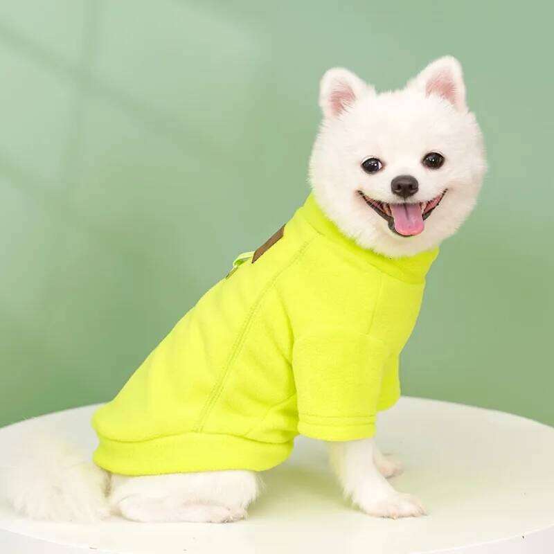Winter Warm Clothes for Small Dogs Fashion Dog Solid Color Puppy Sweatshirt Soft Cat Pullovers Chihuahua Pet Hoodies 25T1226