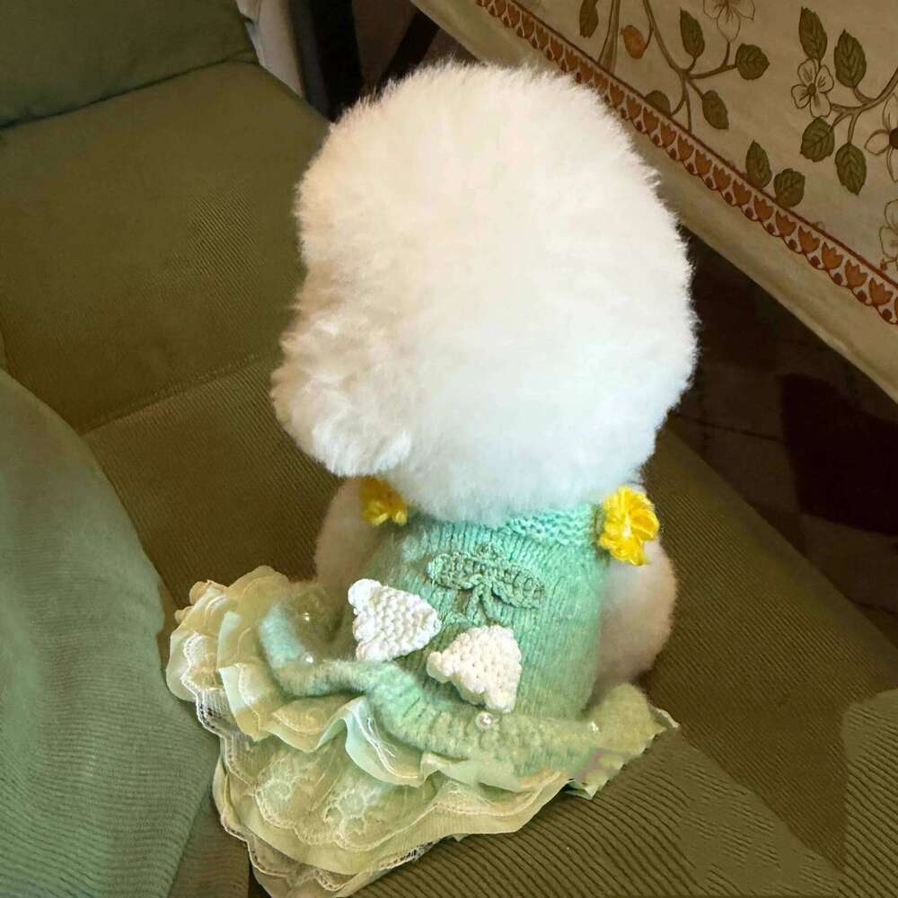 Green Bellflower Design Exquisite Pet Knitted With Pearl Lace - Autumn Dog Dress Sweater 25T1226