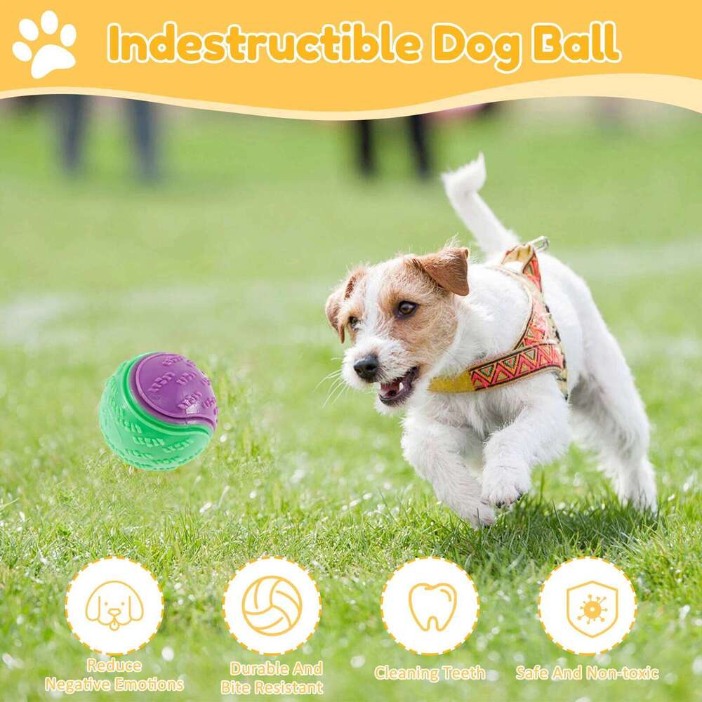6Pcs Squeaky Balls Dogs Interactive Toys TPR Chew Toy for Dog Teeth Cleaning Bite Resistance Pet Supplies 25N1226