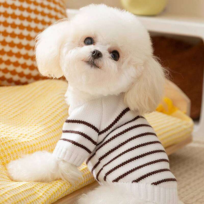 Striped Clothes Sweater for Fashion Winter Coat Warm Pet Knitted Vest Chihuahua French Bulldog 2025 Dog Costume 25T1226