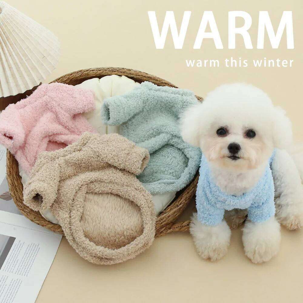 Warm Solid Color Cloud Hoodie Dog Cat Autumn and Winter Thick Double sided Velvet Simple Clothing 25T1226