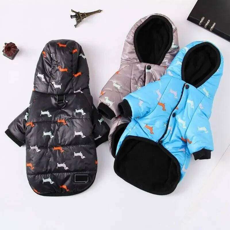 Dog Cat Coat Jacket Autumn winter clothing, Teddy bichon frise fleece, thickened and comfortable warm clothes, pet cat a 25T1226