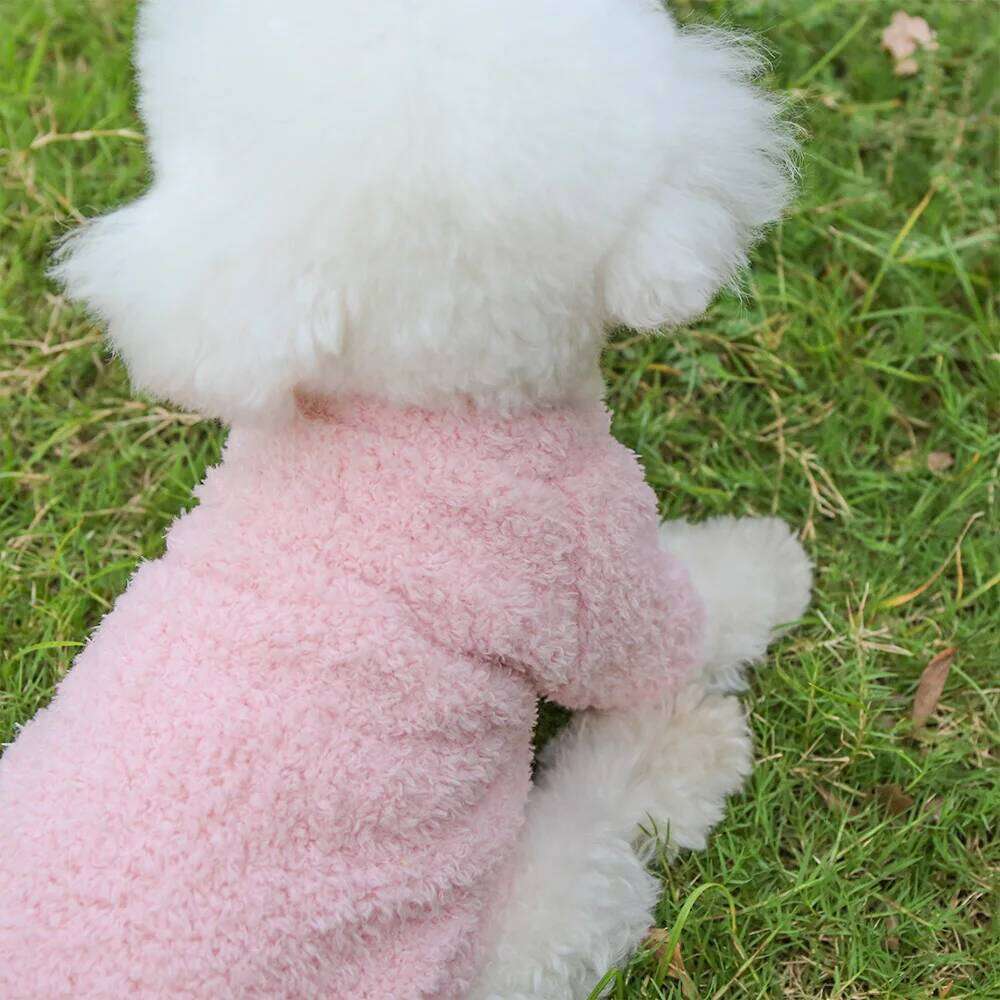 Warm Solid Color Cloud Hoodie Dog Cat Autumn and Winter Thick Double sided Velvet Simple Clothing 25T1226