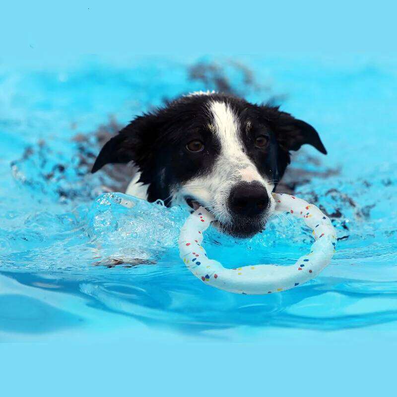 Pet Dog Toy Super Bite Resistant Light Chew ETPU Ball High Elastic Interactive Throwing Flying Toys For Dogs Accessories 25N1226