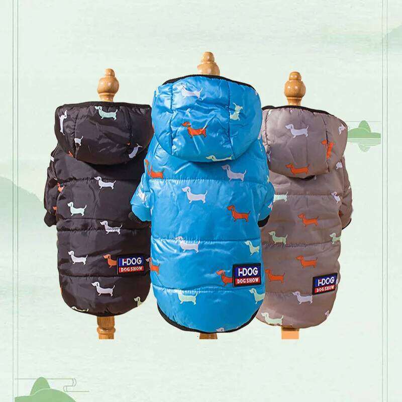 Autumn winter clothing, Teddy bichon frise fleece, thickened comfortable warm clothes, pet cat and dog supplies 25T1226