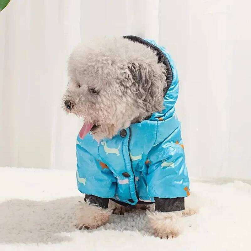 Autumn winter clothing, Teddy bichon frise fleece, thickened comfortable warm clothes, pet cat and dog supplies 25T1226