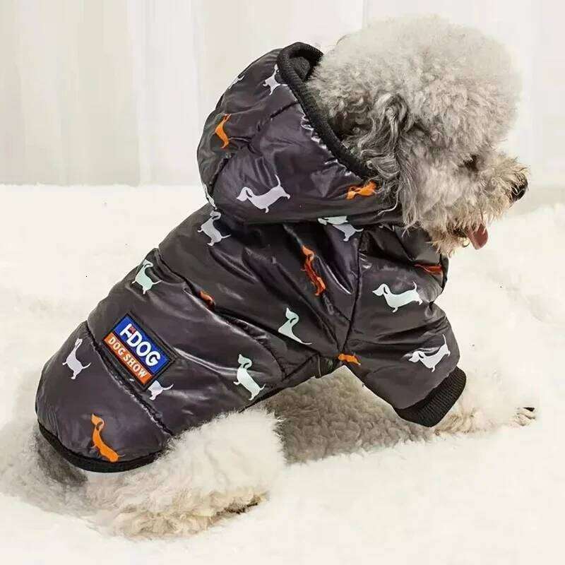 Dog Cat Coat Jacket Autumn winter clothing, Teddy bichon frise fleece, thickened and comfortable warm clothes, pet cat a 25T1226