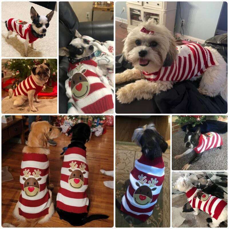 Winter Sweaters for Small Medium Dogs Christmas Dog Clothes Cute Print Puppy Turtleneck Soft Warm Cat Sweater Pet Supplies 25T1226