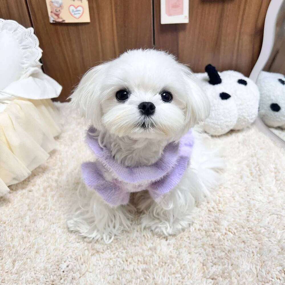 Fashion Soft Mink Fur Puppy Sweaters Clothing Korean Pink Blue Purple Heart Print Hoody Sweater For Small Medium Dog Pet Clothes 25T1226