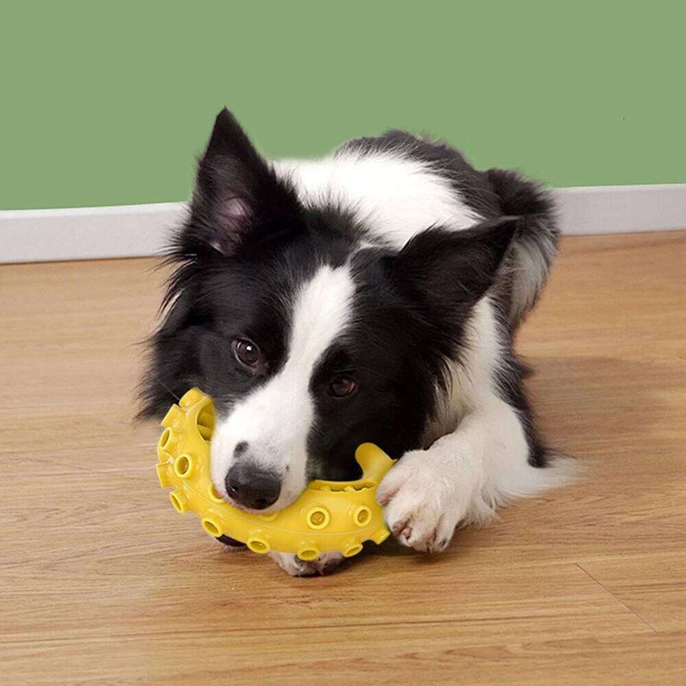 Tpr For Small Medium Dogs Bite Resistant Chew Dog Teeth Cleaning Toys Pet Supplies 25N1226