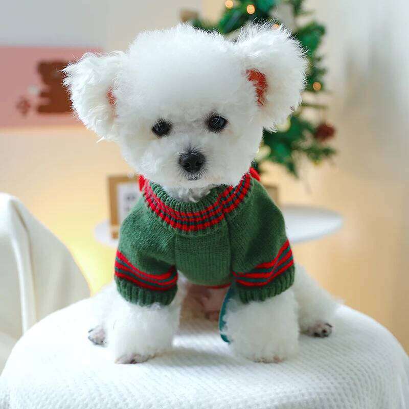 Pet Puppy Dog Cat Clothing Autumn and Winter Pullover Universal for Dogs Happy Christmas Sweater - Green 25T1226