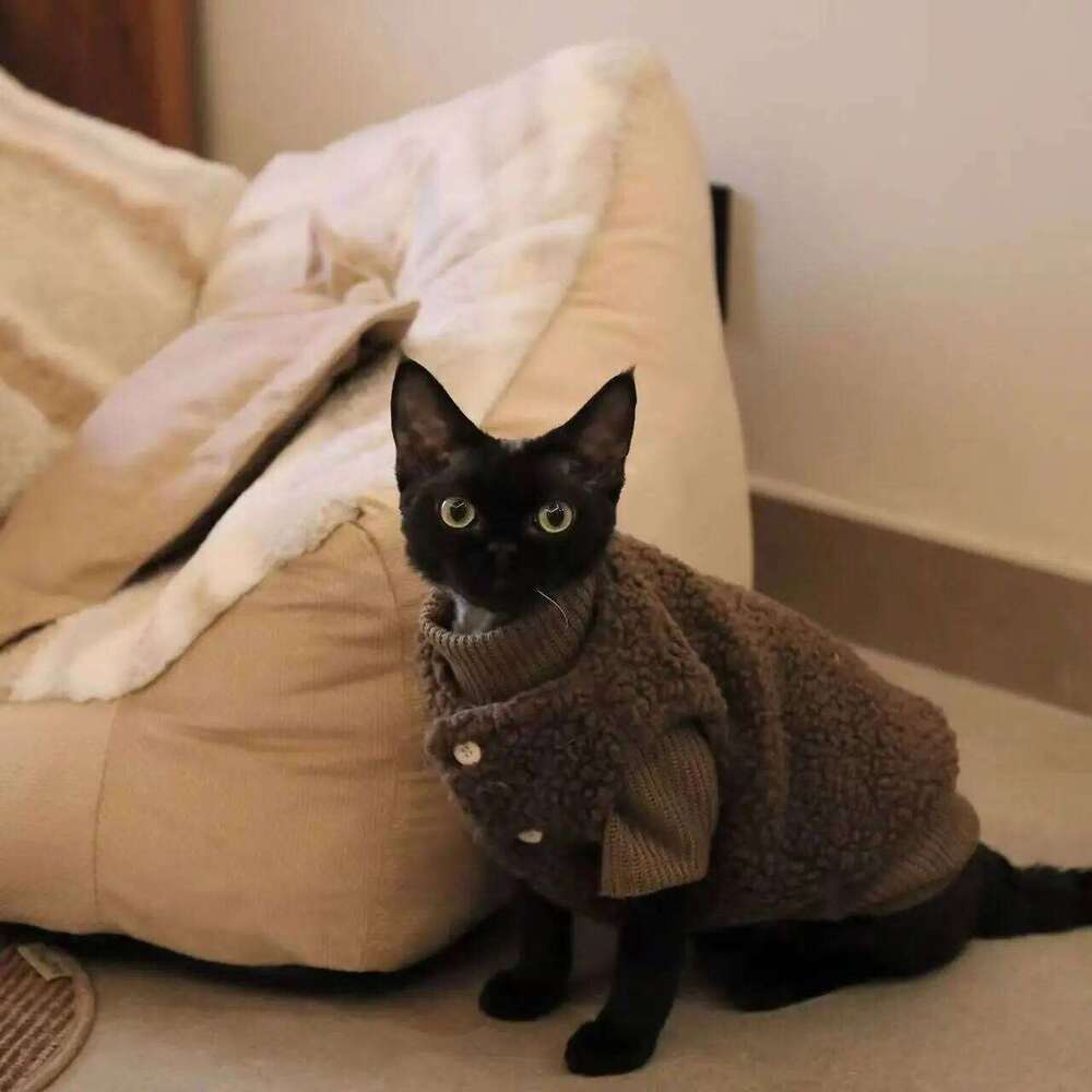 Autumn winter casual simple solid color pullover sweater for small and medium-sized dogs warm cat two-legged pet dog clo 25T1226