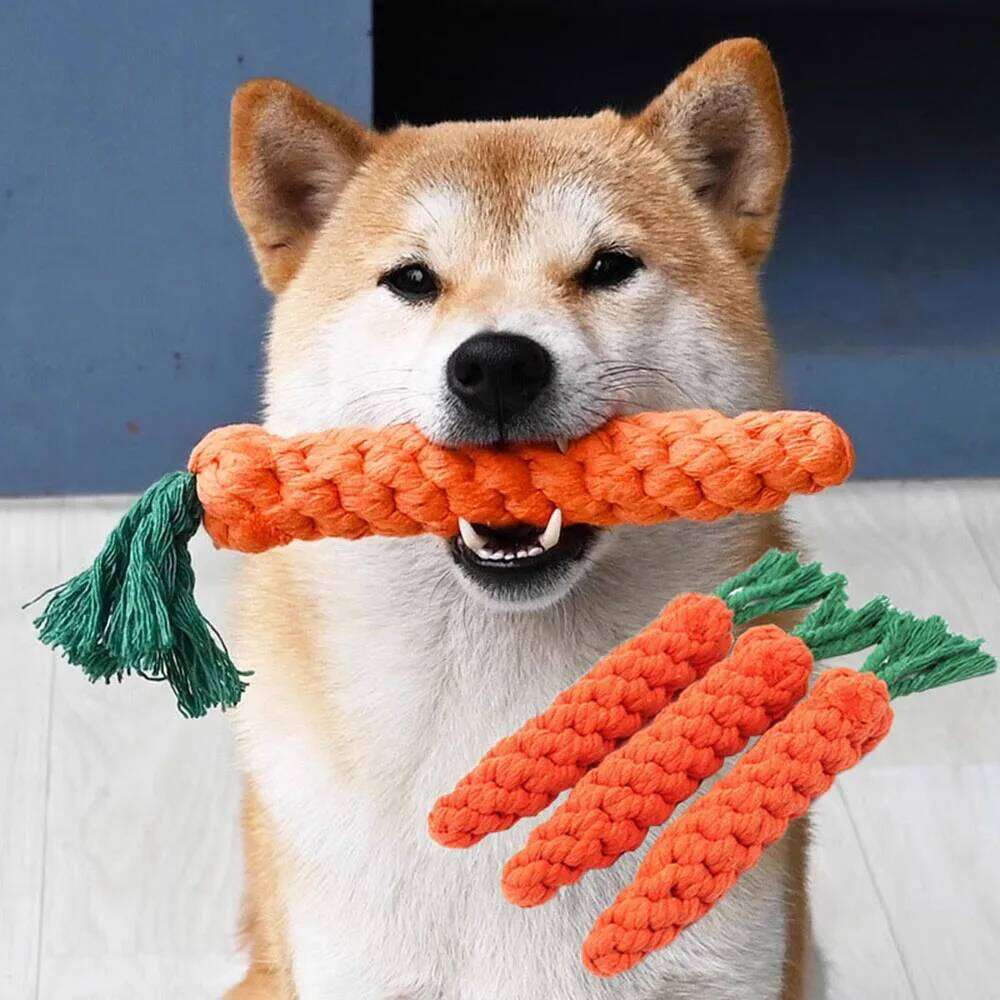 1Pcs Carrot Pet Safe Durable Braided Bite Dog Chew Toys Resistant Puppy Molar Cleaning Teeth Cotton Rope 25N1226