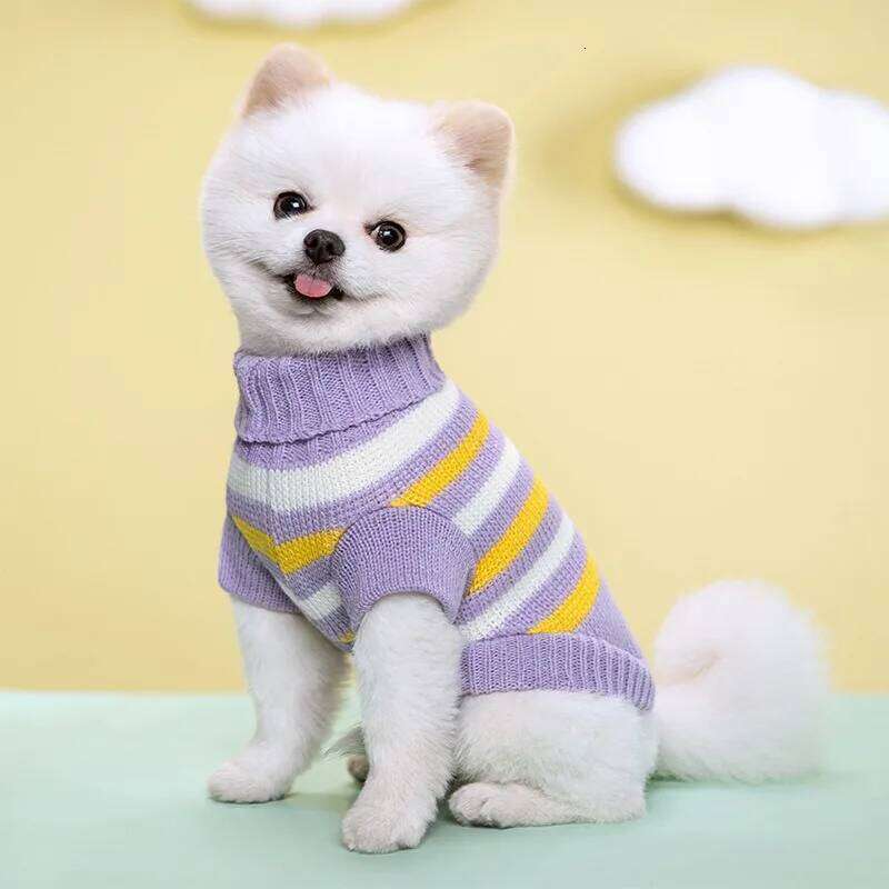 Autumn Winter Colorful Cat Dog Sweater Coat For Small Medium Kitten Pullover Puppy Knitwear Warm Pet Dogs Clothes 25T1226