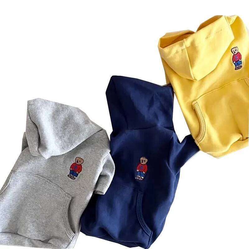 Cute Bear Embroidery Casual Hoodie Cartoon Dog Sweatshirt Cat Pet Winter Two Legs Warm Teddy Clothes 25T1226
