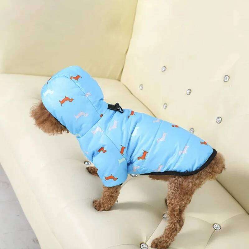 Dog Cat Coat Jacket Autumn winter clothing, Teddy bichon frise fleece, thickened and comfortable warm clothes, pet cat a 25T1226