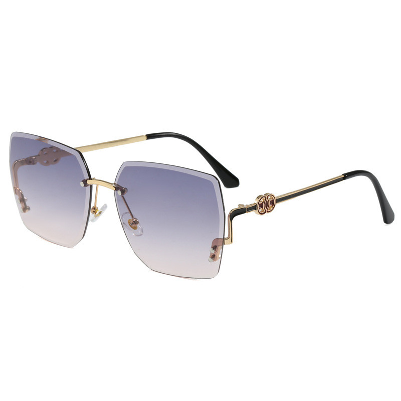 Designer Sunglasses Men Women Sunglasses Polarized Oversize Frame Sunglass Fashion Luxury Goggle Pilot Alloy Frame UV400 Eyewear LZ2915