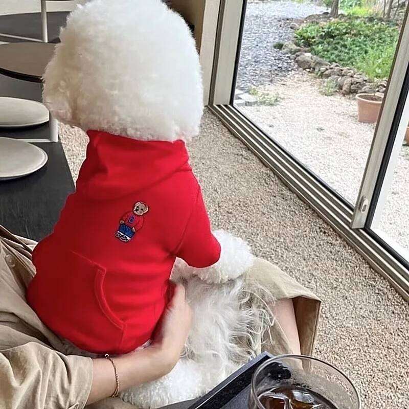 Cute Bear Embroidery Casual Hoodie Cartoon Dog Sweatshirt Cat Pet Winter Two Legs Warm Teddy Clothes 25T1226