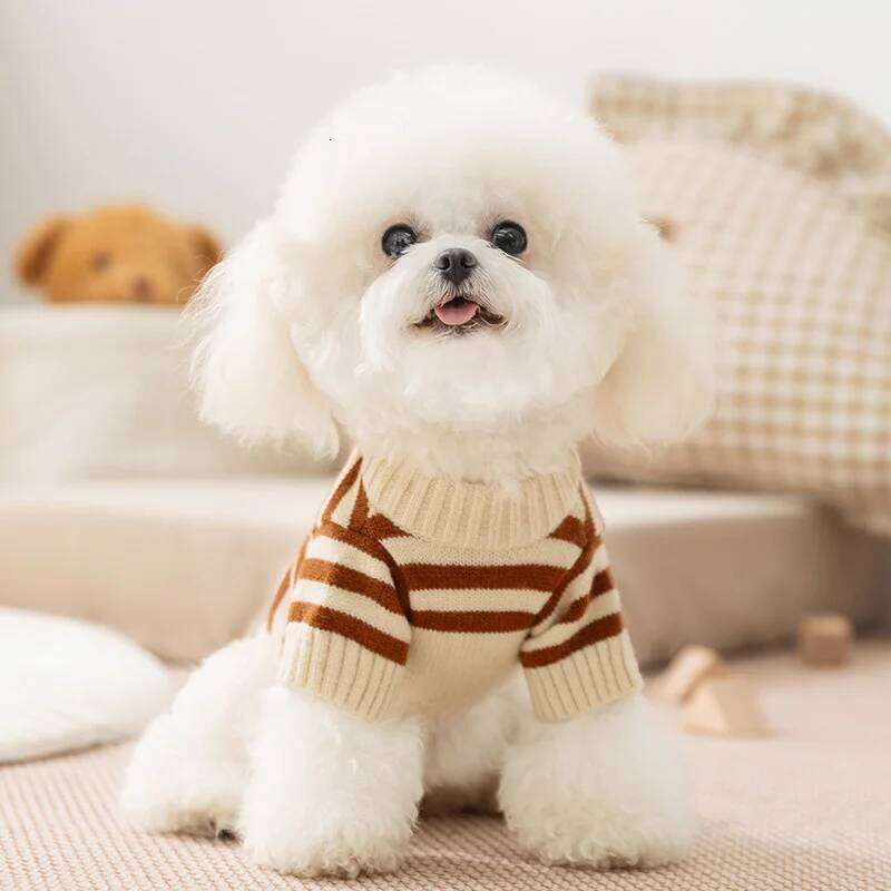 Winter Pet Dog Sweater For Small Medium Dogs Warm Puppy Coat Knitted Clothing Cute Cat Clothes Chihuahua Pullover 25T1226