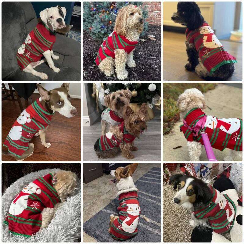 Winter Sweaters for Small Medium Dogs Christmas Dog Clothes Cute Print Puppy Turtleneck Soft Warm Cat Sweater Pet Supplies 25T1226