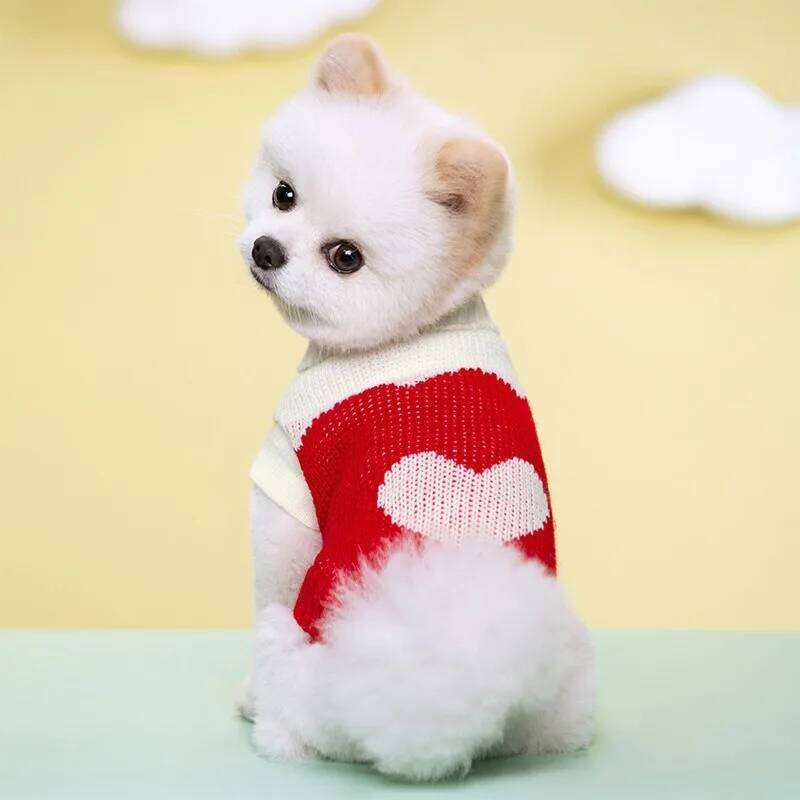 Autumn Winter Colorful Cat Dog Sweater Coat For Small Medium Kitten Pullover Puppy Knitwear Warm Pet Dogs Clothes 25T1226
